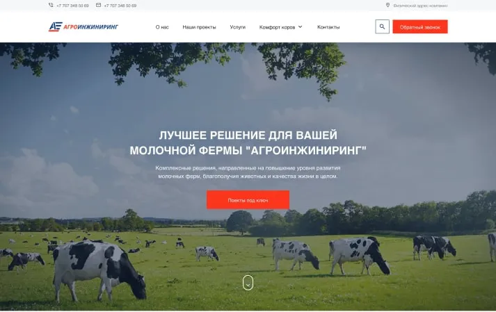 Продвижение и создание сайта Агроинжиниринг